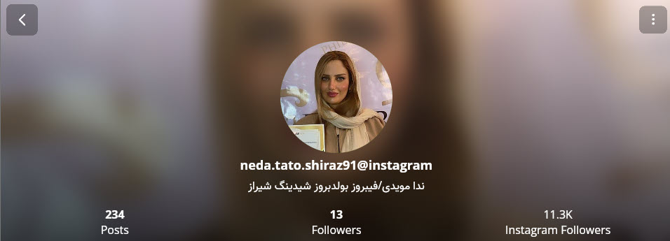 صفحه اینستاگرام مرکز خدمات آرایش دائم و میکروپیگمنتیشن ندا مویدی در شیراز